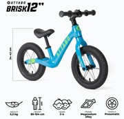 nowy rowerek biegowy brisk 12" 3,3kg 2-4lat karton gwarancja Kraków