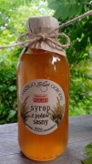 Syrop z młodych pędów sosny