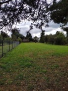 Działka gotowa do zabudowy 2650 m² i stary dom z bali z adresem/ Zawichost