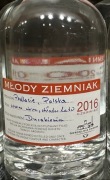 Młody ziemniak 2016