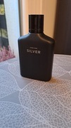 Zara Silver 100ml