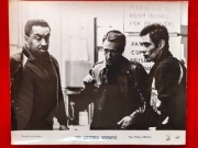 FOTOS~OD SIEDMIU WZWYŻ~ ROY SCHEIDER  ~REŻ. PHILIP D'ANTONY (3)