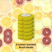 ŁS KOŃCÓWKI DO CLEANING BRUSH