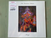 Dexys - Feminie Divine 