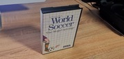 World Soccer Sega Master System