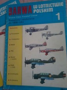 ANDRZEJ GLASS BARWA W LOTNICTWIE POLSKIM 1 SAMOLOTY I SZYBOWCE DO 1939 