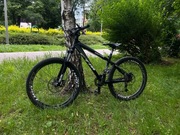 Rower do dirtu - CTM RAPTOR 3.0