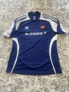 Viking F.K. Stavanger 1899 Szwecja