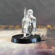 Middle-Earth SBG: Frodo