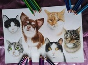 Portret KOTA PSA  królika  KILKU  ze zdjęcia   A3 na prezent