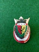 ODZNAKA ŚLĄSK WROCŁAW-MP 2012