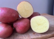 Ziemniaki od Małego Rolnika - Baltic Rose karton BOX 20kg