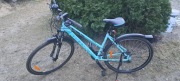 Rower Kellys Clea 10