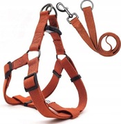 Szelki dla psa ze smyczą Regulowane 120cm r. L Kolor brązowy