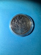 Kanada, 5 dolarów 2013, Liść Klonu, 1 Oz, Ag999