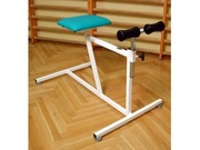 przyrząd do wzmacniania mięśni grzbietu "konik"