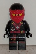 103 08 - LEGO Minifigures 