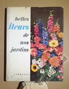 Belles fleurs de nos jardins 