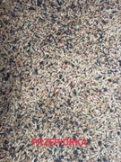 Karma mieszanka zbóż dla przepiórek 20kg