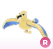 Golden Albatross R - Adopt Me Roblox