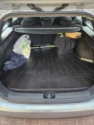 Mata bagażnika Kia ceed III