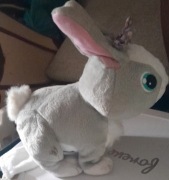 Króliczek interaktywny Tusia