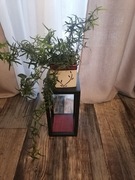 Stolik kawowy, pod kwiaty metal malowany proszkowo i drewno 15x15x30cm