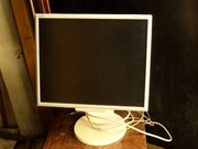 Monitor NEC LCD 195 NX 19'