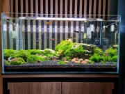 Zestaw akwarystyczny (80x40x40,128l) + akcesoria GRATIS