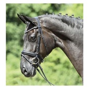 Busse ogłowie Matera EQUKAMELA ogłowia