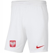 Męskie krótkie spodenki Reprezentacji Polski Nike L