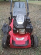 Kosiarka Stiga Castelgarden XC 48 S kosiarka spalinowa 4w1