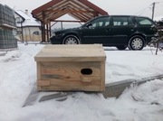 Budki lęgowe dla jerzyka 