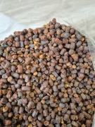 Pierzga Pszczela 1 kg