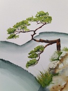 Obraz, Akwarela - sosna na Sokolicy,   A5.