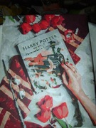 OBRAZ OLEJNY - HARRY PORTER