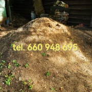 ZIEMIA ogrodowa – czarna – za darmo.