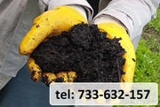 Ziemia Ogrodowa Kompostowa Czarnoziem Tarnów