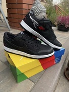 Nike SB Dunk Pro x Wasted youth 42