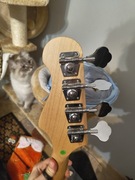 Gitara basowa Seattle by Joe + wzmacniacz Kustom 