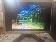 Monitor Acer X193W 19" 