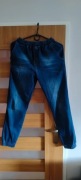 Spodnie Jogger Patriotic