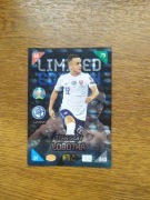 Stanislav Lobotka Limited Edition