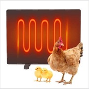 Płyta Grzewcza Do Kurnika Z Systemem Termostatu I 2 Metodami Instalacji