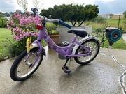 Rower PUKY ZL 16-1