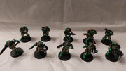 Kill Team: Space Marine Scout Squad