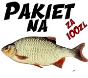 Pakiet przynęt na wzdręgi za 100zł