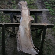 deska tarcica orzech włoski orzecha włoskiego 3