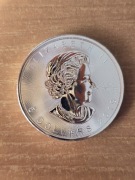 Srebrna moneta 1 oz Elizabeth II Canada 2019, 1 uncja