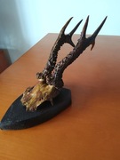 State poroze koziolka